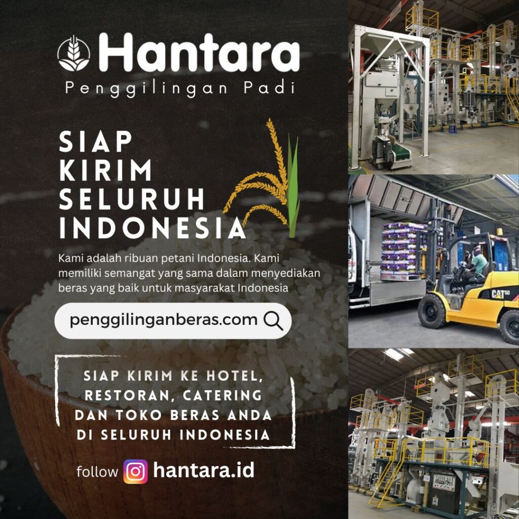 distributor beras